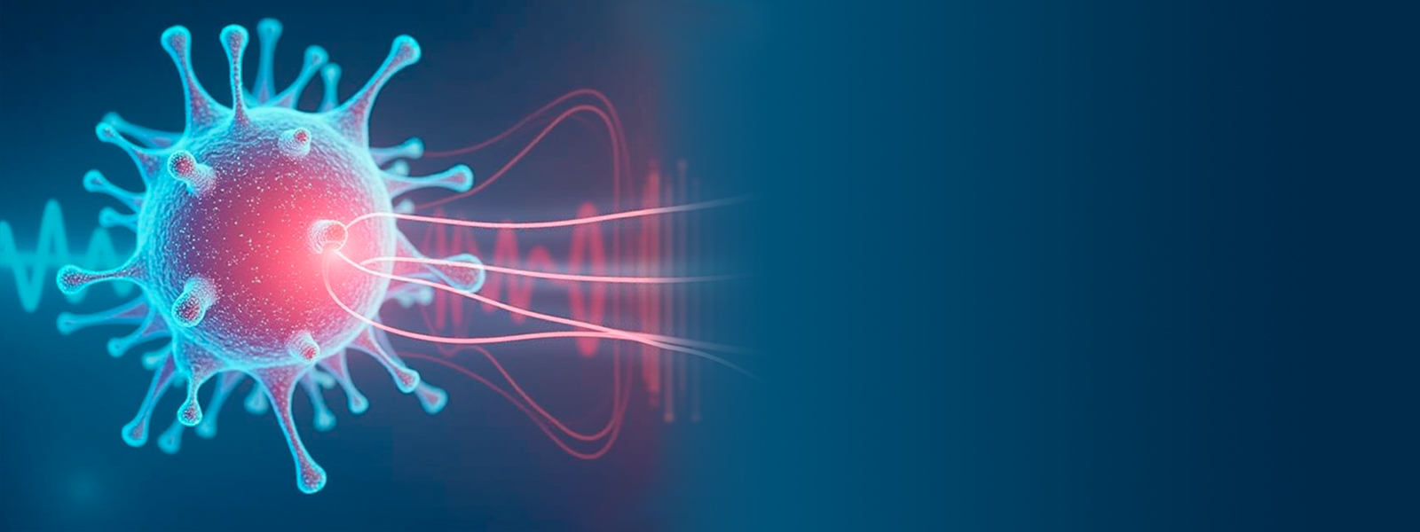 МРТ-онкопоиск